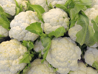 fresh and whole many cauliflower vegetables background
