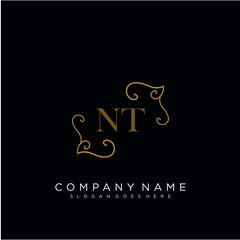 Initial letter NT logo luxury vector mark, gold color elegant classical 