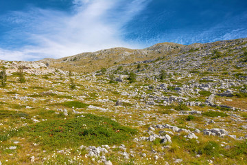Mountain sea landscape in summer, Croatia. Makarska resort coast, Dalmatia, Biokovo national park