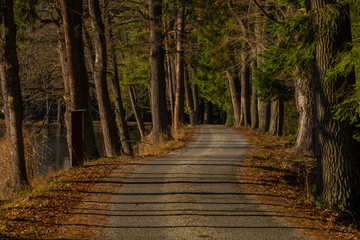 Path near Rouda and Olesnicky novy pond in sunset time in winter evening