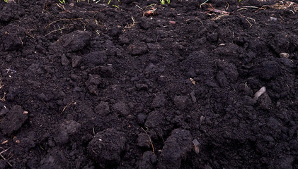 black land of a farm field