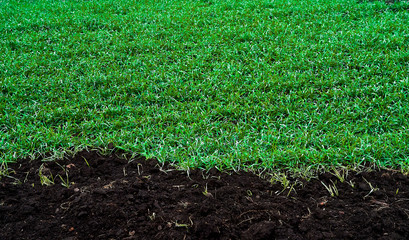 black earth fields and green grass