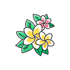 Plumeria pink and yellow color icon. Exotic region flowers. Flora of Indonesian islands. Small tropical plants. Blossom of frangipani with leaves. Nature of Bali. Isolated vector illustration