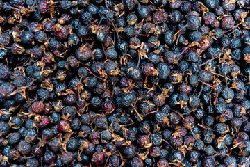 Close up pile of dried fruit of black rosehip or wild rose