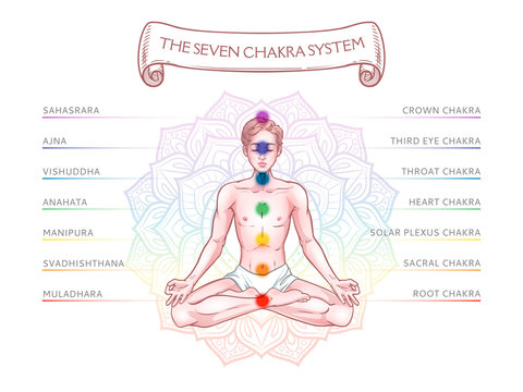 Seven chakra system in human body, infographic with meditating yogi man, vector illustration