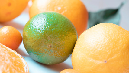 Classic shot of citrus fruits in the kitchen on white background