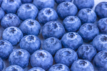 Selective focus on a fresh blueberries. Closeup view. 