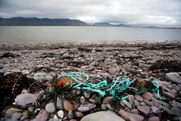 Rubbish on shore with water in background