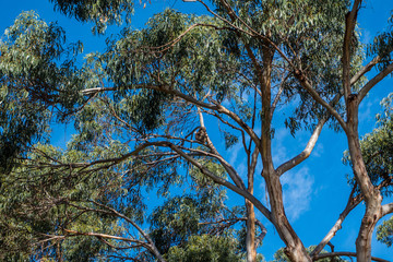 Grat Ocean Road Melbourne