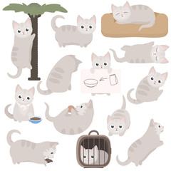 Cute cartoon cat character in different poses. Vector illustrations set isolated on white background.