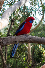 Grat Ocean Road Melbourne