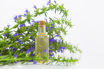 hyssop essential oil in  beautiful bottle on White background