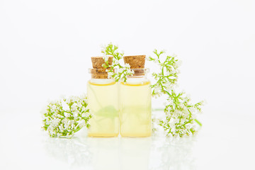 Essence of flowers on table in beautiful glass jar