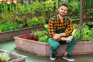 Male gardener with tools in greenhouse