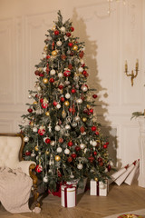 Fototapeta na wymiar Christmas tree near the sofa in the room with a classic design.