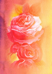 Vintage Roses illustration. Watercolor Design elements for cards, invitations and textile.