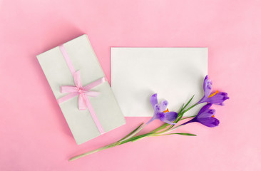 Holiday composition, white gift box with pink ribbon and blank sheet with space for text and flowers violet crocuses on pink paper background. Top view, flat lay