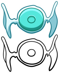 Torquouse round candy in transparent wrapper in colored and line versions on white background