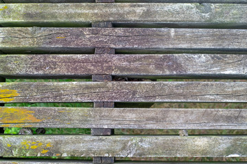 wood bench in the yard wood texture background