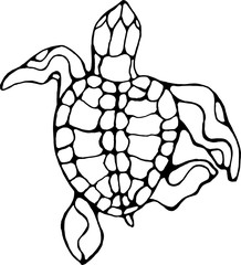 Illustration of a wise tortoise. Swimming turtle in motion with ornament.