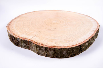 Slice of fresh oak wood on a white background	