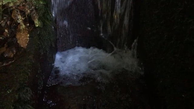 Degrau de levada