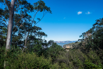 Obraz premium Hunter Valley