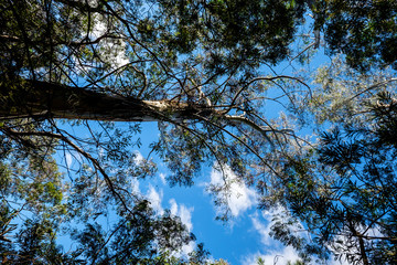 Hunter Valley