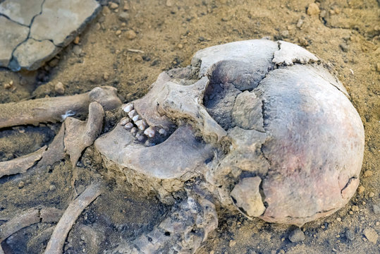 Close Up Old Human Skull On Ground