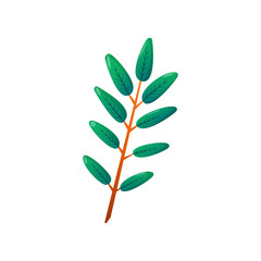Cartoon green leaves branch isolated on white.
