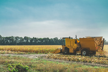 Yellow combine harvester harvests ripe corn. Agriculture aerial view