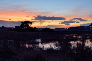 Fototapeta na wymiar Sunset at low tide in Brittany. France