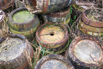 Vintage wooden beer barrels, dumped and weathered.