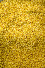 yellow corn background of millet