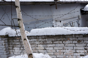 Barbed wire and snow on brick fence.