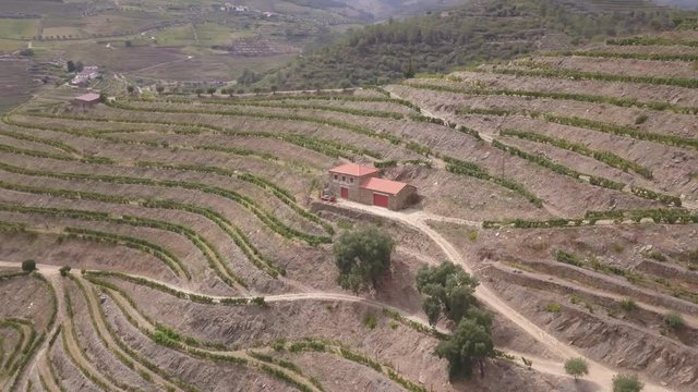 Douro from above
