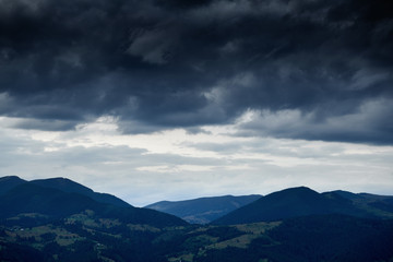 Fototapeta premium Sunset in carpathian mountains - beautiful summer landscape, spruces on hills, cloudy sky and wildflowers.