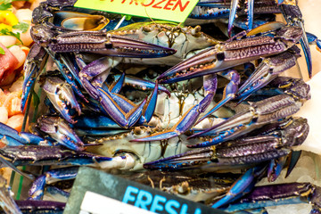 Queen Victoria Market Melbourne
