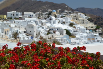 Fototapeta premium Grecia Santorini