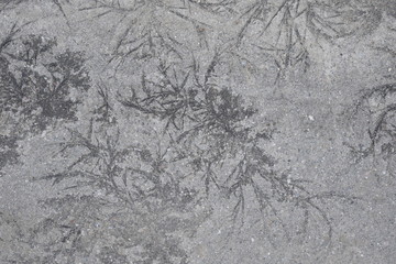 abstract winter background