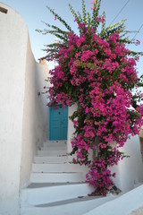 Fototapeta na wymiar Grescia Santorini