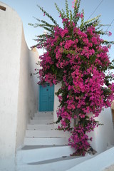 Grescia Santorini