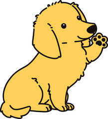 Outlined golden Miniature Dachshund