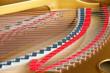 Strings inside a grand piano - musical instrument.