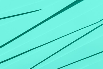 Fototapeta premium abstract background line art 