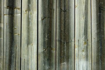 Old weathered wooden plank for background or texture