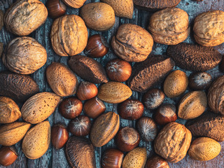 Mixed nuts of walnuts, almonds, hazelnuts and Brazilian nuts in shell