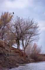 Autumn day landscape with a river