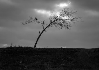Autumn day landscape with a river