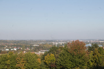 view to the trees in herb